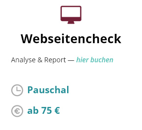 Webseitencheck - Analyse & Report - ab 75€